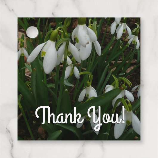 Étiquettes Cadeau Snowdrops I (Devant)