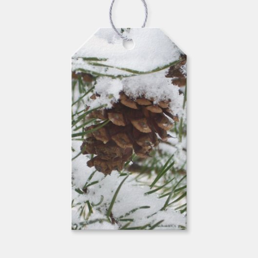 Étiquettes-cadeau Snowy Pine Cone I (Devant)