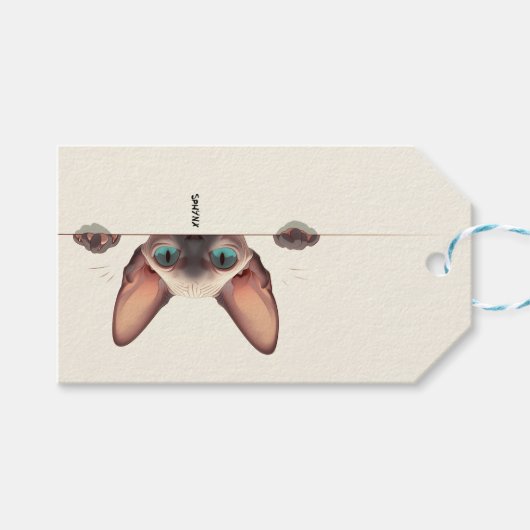 Étiquettes-cadeau Sphynx de race de chat (Devant (Horizontal))