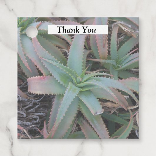 Étiquettes Cadeau Succulentes du Nevada (Devant)