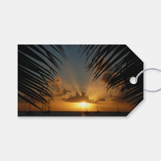 Étiquettes-cadeau Sunset Through Palm Fronds (Devant (Horizontal))