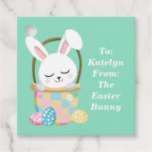 Étiquettes Cadeau Superbe Bunny Pâques Custom Pastel Green Party (Devant)