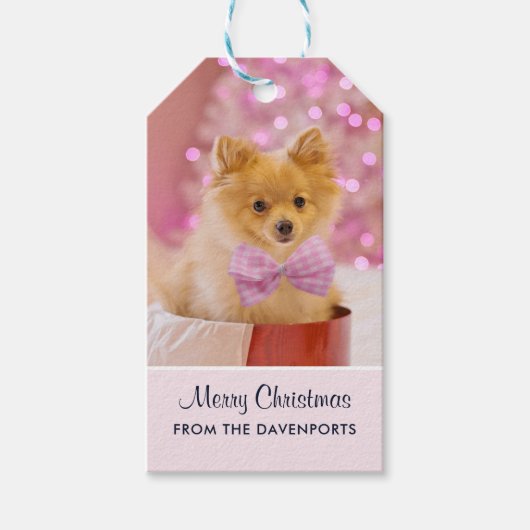 Étiquettes-cadeau Sympa Chien de Noël avec Bow Rose Photo (Devant)
