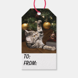 Étiquettes-cadeau Tabby kitty cat Noël