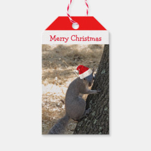 Étiquettes-cadeau Tag cadeau de Noël père Noël Squirrel