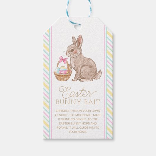 Étiquettes-cadeau Tag d'appât lapin de Pâques (Devant)