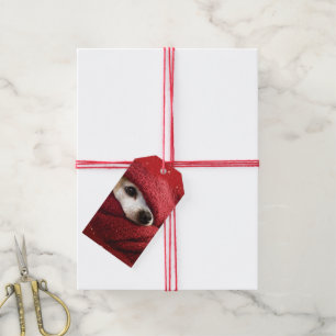 Étiquettes-cadeau Tags des cadeaux Holiday Chihuahua