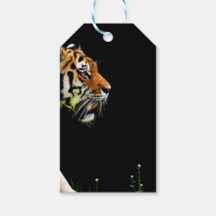 Étiquettes-cadeau Tigre qui s'approche - Œuvre d'art d'animal sauvag