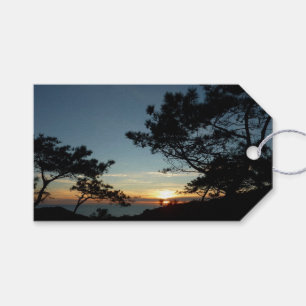 Étiquettes-cadeau Torrey Pine Sunset III Paysage californien