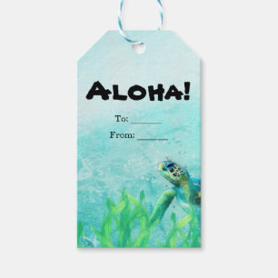 Étiquettes-cadeau Tortue de mer Art de la plage océanique Élégant Ca