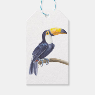 Étiquettes-cadeau Toucan, oiseau tropical