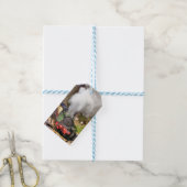 ÉTIQUETTES-CADEAU TRAINS À VAPEUR (Avec de laficelle)