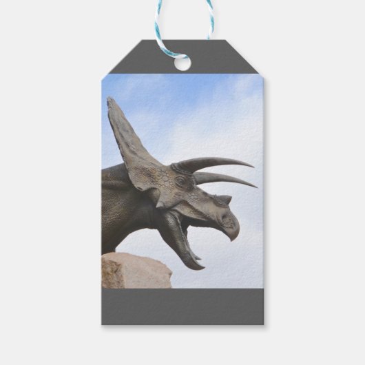 Étiquettes-cadeau Tricératops Dinosaur (Devant)