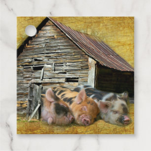 Étiquettes Cadeau Trois Petits Cochons À La Grange Rustique Snoozing