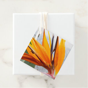 Étiquettes Cadeau Tropical Oiseau de Paradis Fleurs de Mariage
