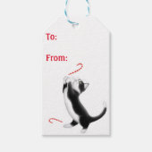 Étiquettes-cadeau Tuxedo Chats Noël Tags cadeaux de Noël (Devant)
