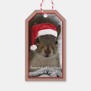 Étiquettes-cadeau Un Écureuil Père Noël amusant portant le chapeau d