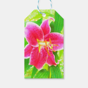 Étiquettes-cadeau Un stargazer rose assez profond Lily sur Lime Gree