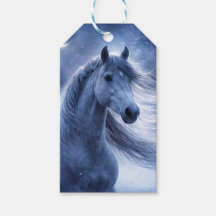Vacances de Noël Beau Cheval dans la Nuit
