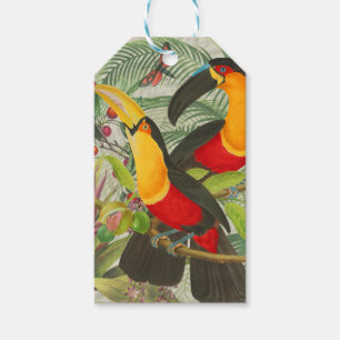 Étiquettes-cadeau Vibrant Tropical Toucan Birds Art Exotic Jungle
