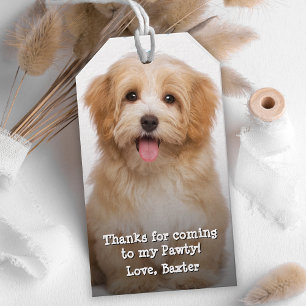 Étiquettes-cadeau Votre chien d'anniversaire Pawty Merci Favor