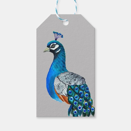 Étiquettes-cadeau Watercolor peacock (Devant)