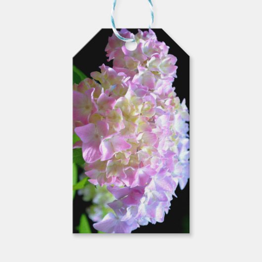 Étiquettes-cadeau Whisper du matin - Hydrangeas (Devant)