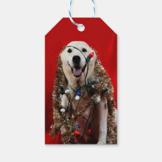 Étiquettes-cadeau Yellow lab Christmas