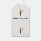 Étiquettes cadeaux (Devant)