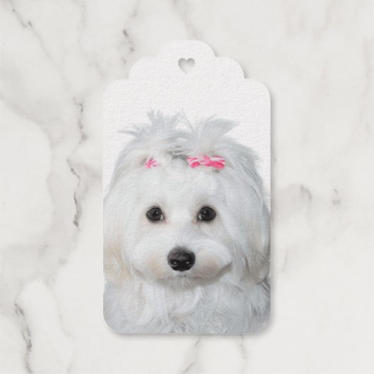 Étiquettes Cadeaux Angle sucré maltais sur pattes (Verso)