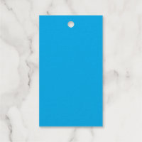 Arrière - plan bleu cyan solide | Style minimalist