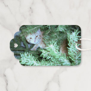 Étiquettes Cadeaux Chat in the Christmas Tree Foil Tags cadeaux