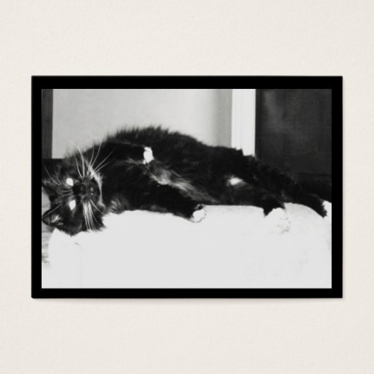 Étiquettes cadeaux Neco (Devant)