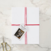 Étiquettes cadeaux photo pour animaux (Avec de la ficelle)