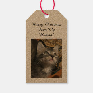 Étiquettes cadeaux photo pour animaux