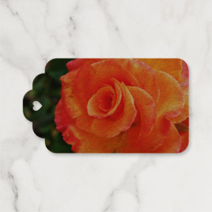 Étiquettes Cadeaux Rose orange