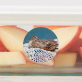 Étiquettes Canard de repos (Apposé)