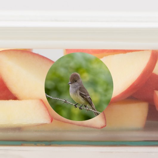 Étiquettes Capteur (Apposé)