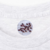 Étiquettes Cerises (Apposé)