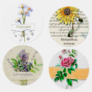 Étiquettes Chamomille aquarelle vintage poteau de tumeur ther
