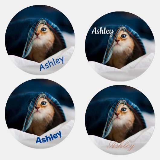 Étiquettes Chat Tabby Orange (Groupe)