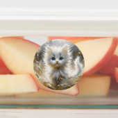 Étiquettes Chaton blanc précieux (Apposé)