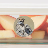 Étiquettes Cheetah (Apposé)
