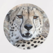 Étiquettes Cheetah Portrait (Design 2)