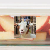 Étiquettes Chèvres (Apposé)