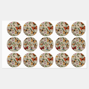 Étiquettes Collection de la papillon Moth Nature Dessin