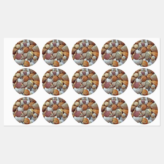 Étiquettes Coquillages (Feuille)