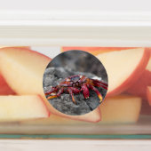 Étiquettes Crabe rouge (Apposé)