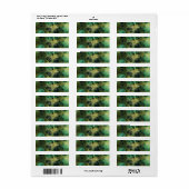 Étiquettes d'adresse Bokeh Glam Vert & Or (Feuille entière)
