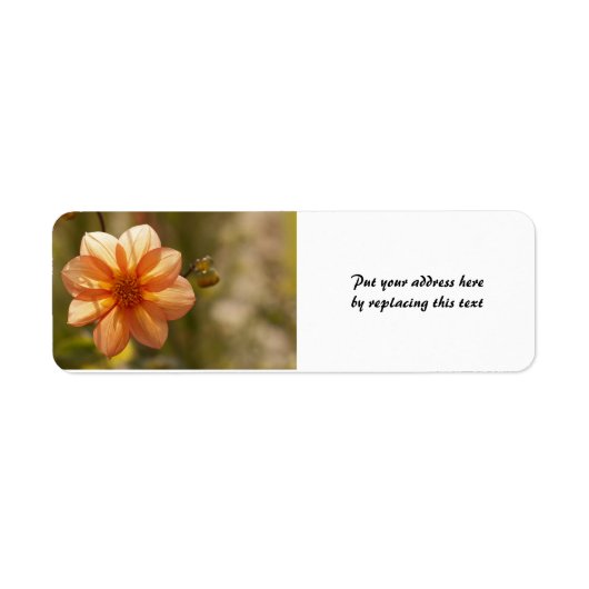 Étiquettes d'adresse Dahlia (Devant)